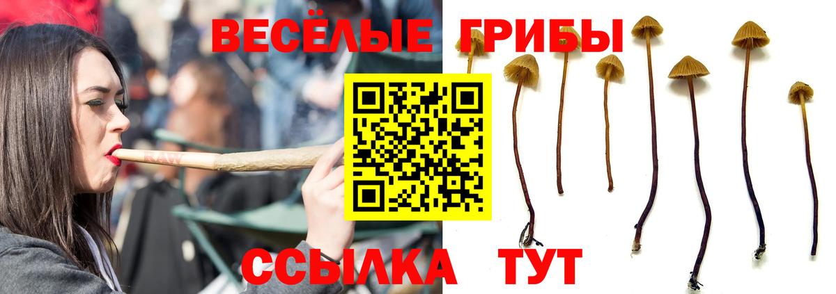 Галлюциногенные грибы мухоморы Астрахань
