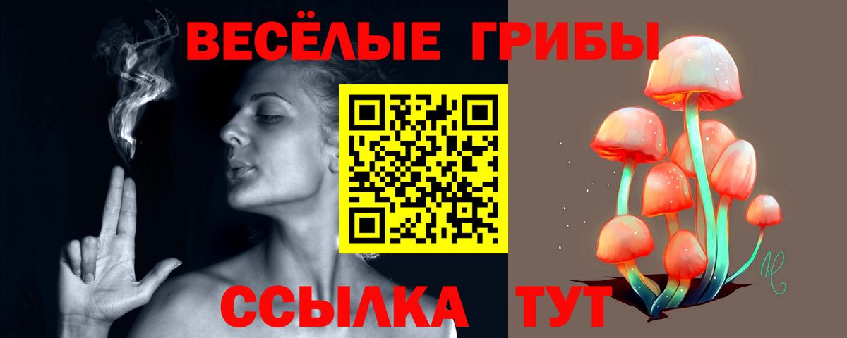 Астрахань  Псилоцибиновые грибы Magic Shrooms  Вход с VPN 